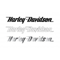 COPPIA  HARLEY DAVIDSON