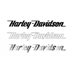 COPPIA  HARLEY DAVIDSON